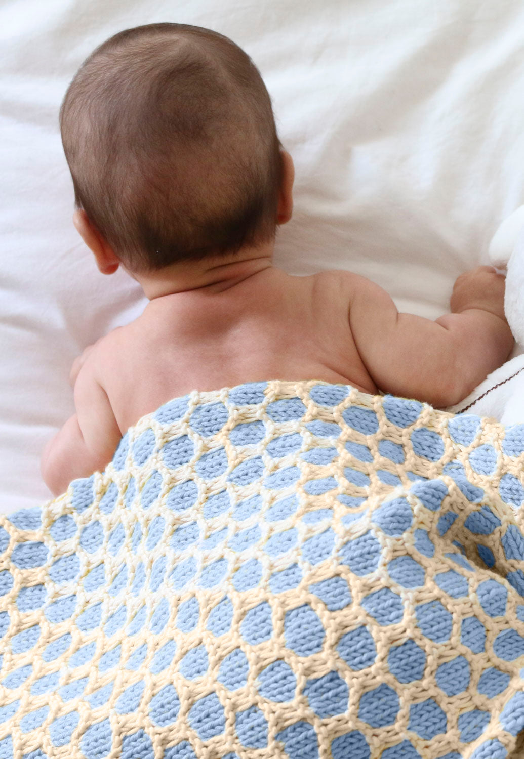 Bee Blanket Kit