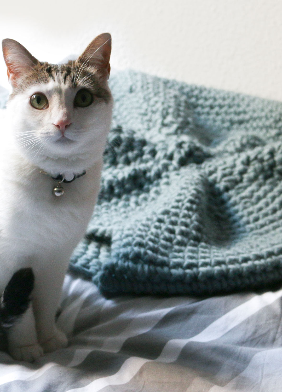 Crochet House Cat Free Pattern