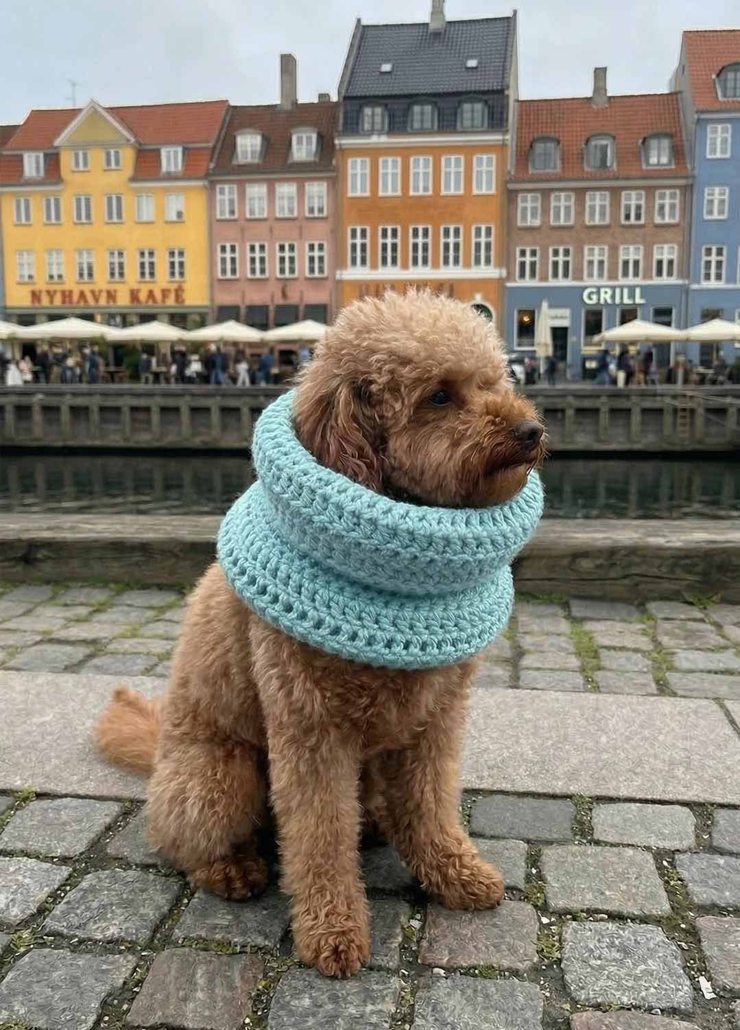 PRY Cashmere Double Wrap Snood +クリップ Rex Snood Kit for Pets - Yummy Version – We Are Knitters