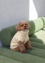 Scooby Sweater Kit for Pets - Yummy Version