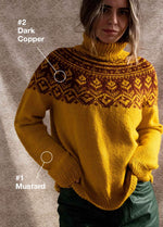 Montagne Sweater Kit