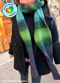 Vega Scarf Kit - Color Crush: Self Striping Version