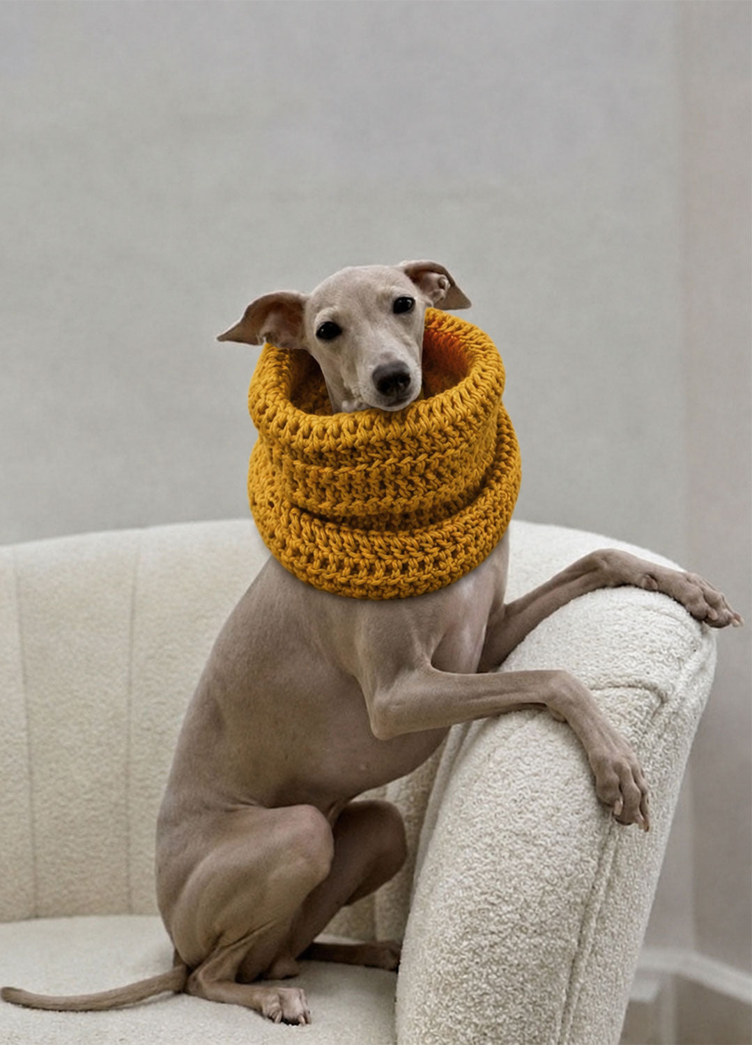 Rex Snood Kit for Pets - Yummy Version – We Are Knitters