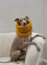 Rex Snood Kit for Pets - Yummy Version