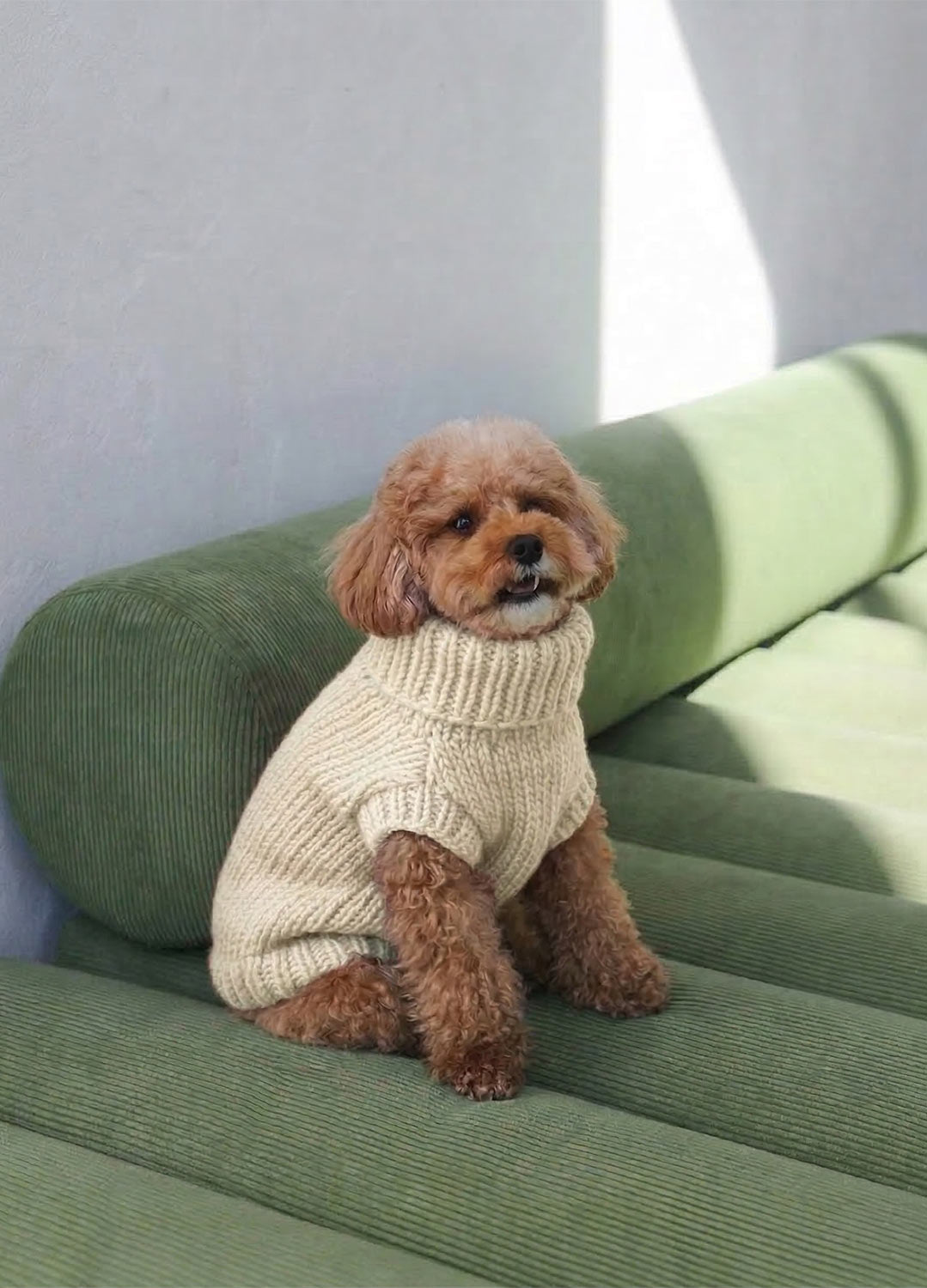 Scooby Sweater Kit for Pets - Yummy Version – We Are Knitters