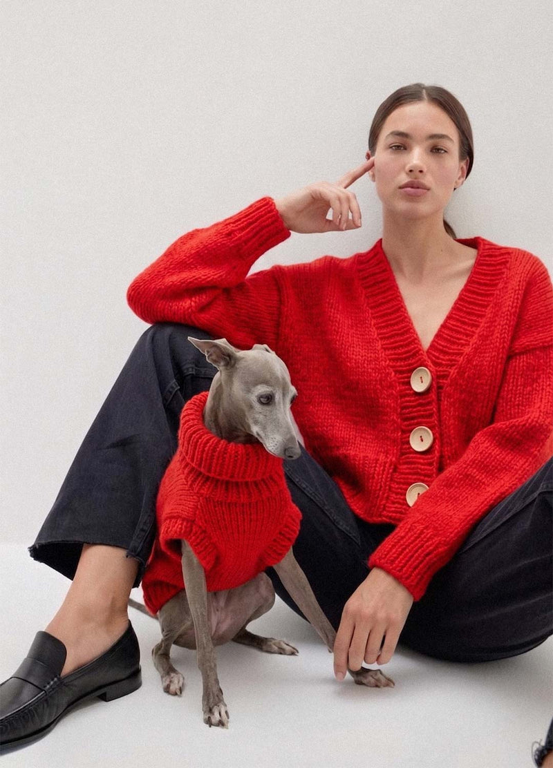 Scooby Sweater Kit for Pets - Yummy Version